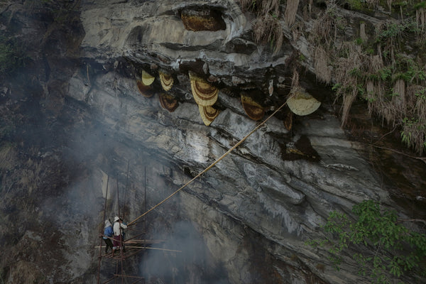 Raw Mad Honey hunting in nepal