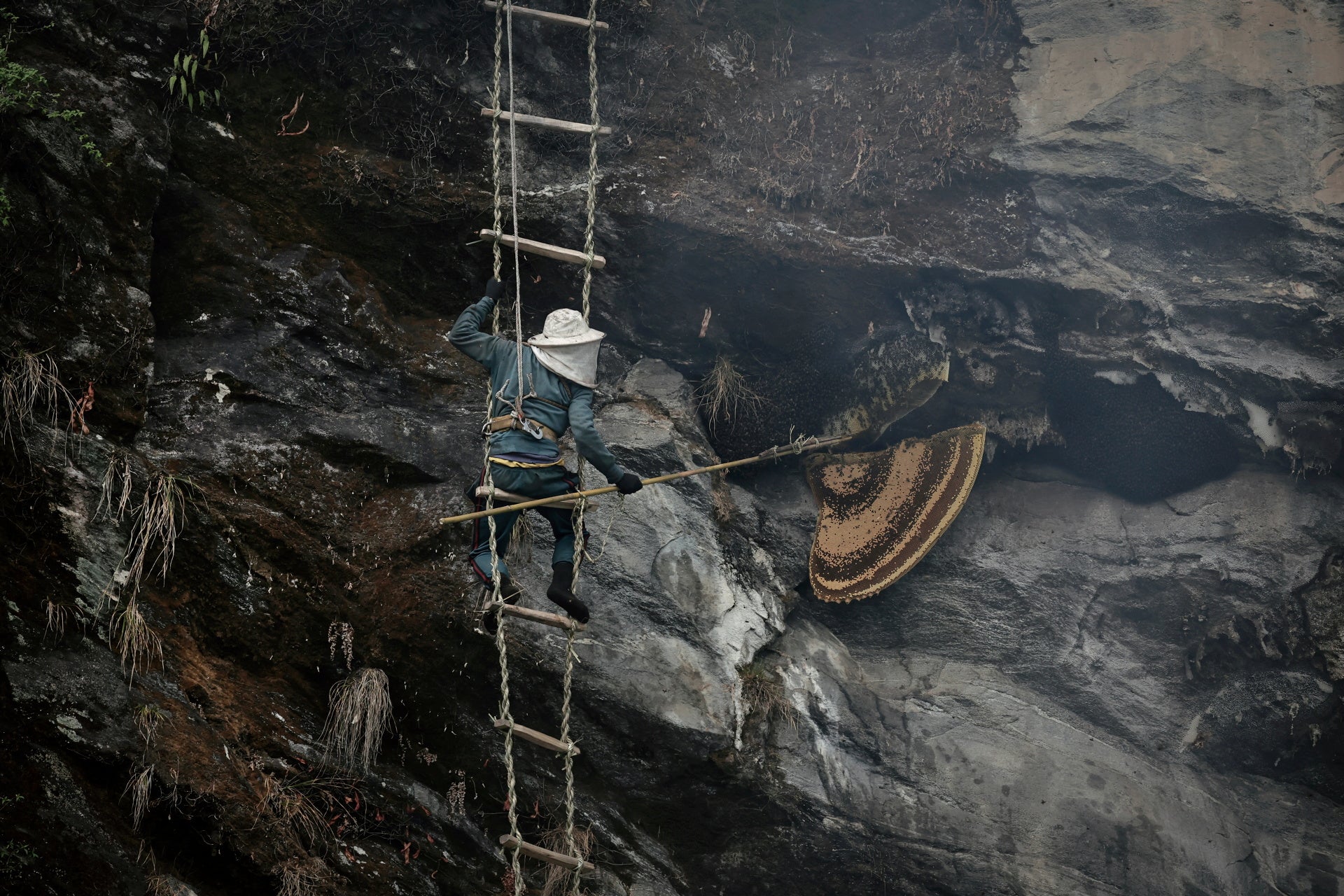 Load video: Honey Hunting Nepal